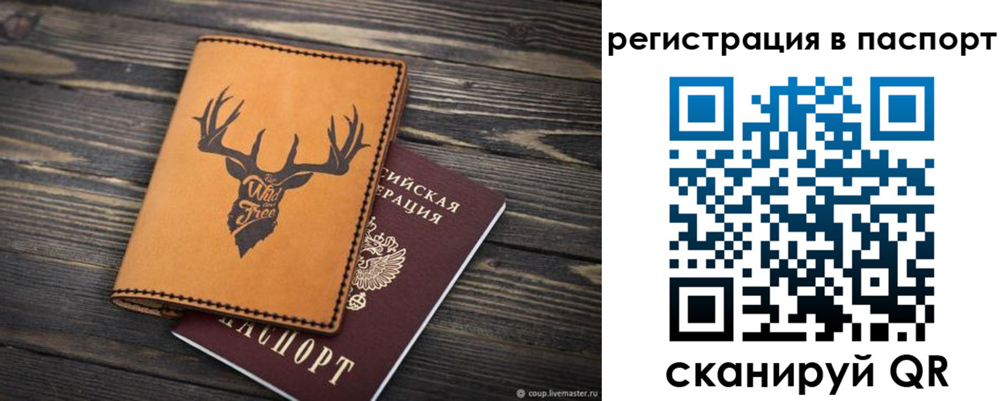 прописка паспорт в Каргополе